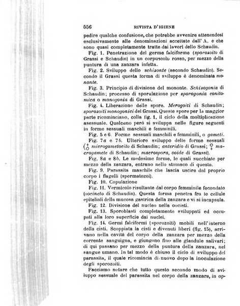 Giornale medico del Regio Esercito