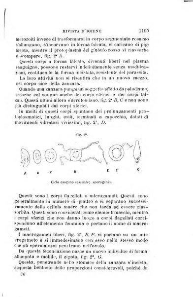 Giornale medico del Regio Esercito