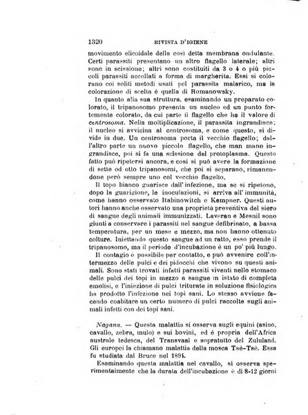 Giornale medico del Regio Esercito