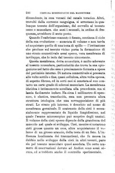 Giornale medico del Regio Esercito