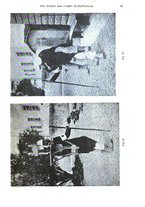 giornale/RML0027468/1903/unico/00000053