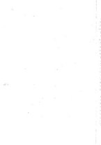 giornale/RML0027468/1903/unico/00000596