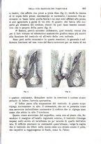 giornale/RML0027468/1903/unico/00000949