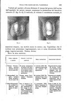 giornale/RML0027468/1903/unico/00000951