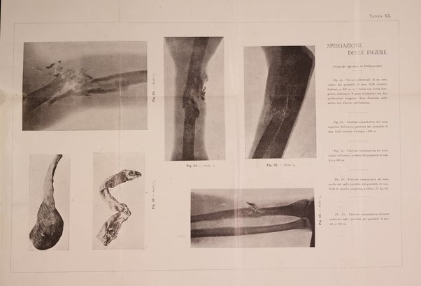 Giornale medico del Regio Esercito