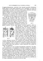 giornale/RML0027468/1904/unico/00000183