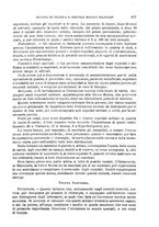 giornale/RML0027468/1904/unico/00001035