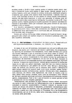 giornale/RML0027468/1905/unico/00000404