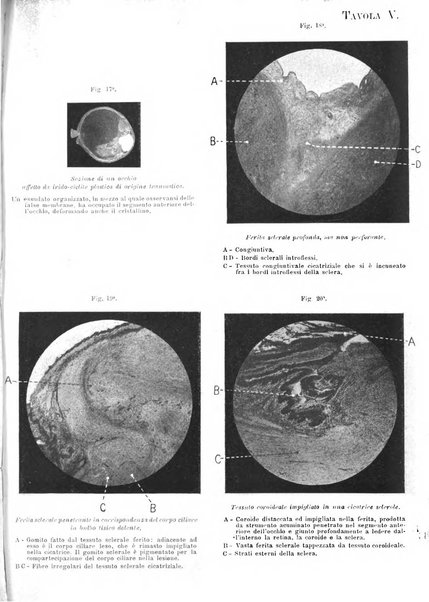 Giornale medico del Regio Esercito