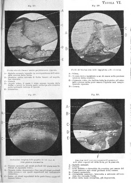 Giornale medico del Regio Esercito