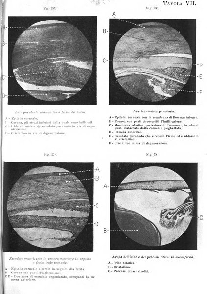 Giornale medico del Regio Esercito