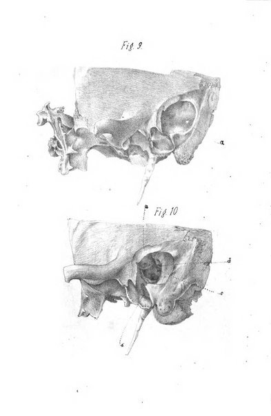 Annali universali di medicina e chirurgia