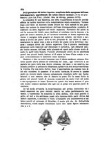 giornale/RML0027493/1878/v.2/00000408