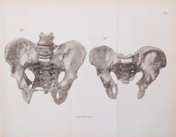 Annali universali di medicina e chirurgia