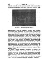 giornale/RML0027493/1882/v.3/00000358