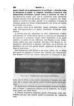 giornale/RML0027493/1882/v.3/00000362