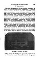 giornale/RML0027493/1882/v.3/00000363