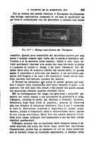 giornale/RML0027493/1882/v.3/00000365