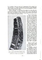 giornale/RML0027517/1933/unico/00000310