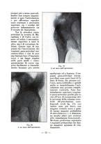 giornale/RML0027517/1933/unico/00000409