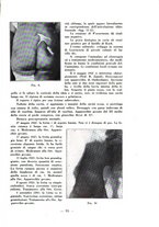 giornale/RML0027517/1933/unico/00000487