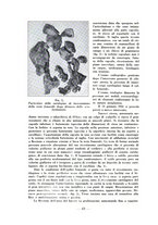 giornale/RML0027517/1933/unico/00000644