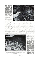 giornale/RML0027517/1933/unico/00000649