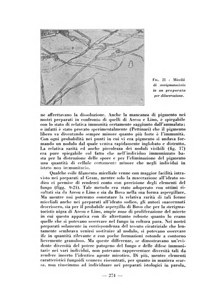 Archivio di medicina e chirurgia