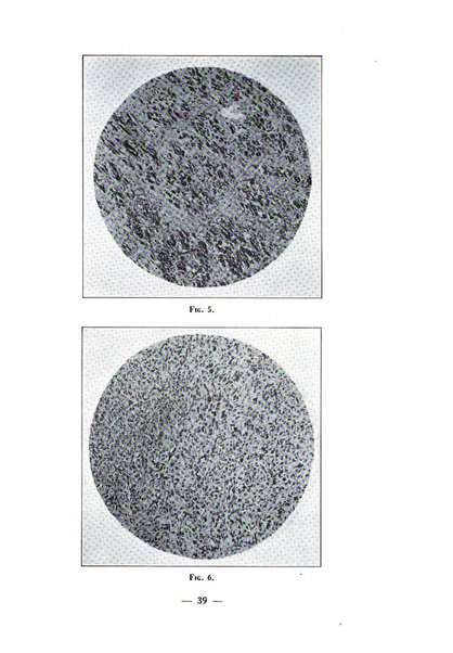 Archivio di medicina e chirurgia