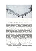 giornale/RML0027517/1935/unico/00000078