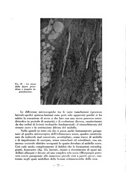 Archivio di medicina e chirurgia