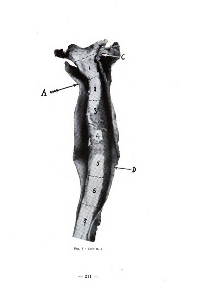 Archivio di medicina e chirurgia