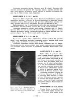 giornale/RML0027517/1936/unico/00000172