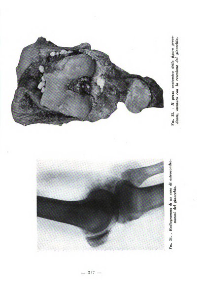 Archivio di medicina e chirurgia