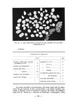 giornale/RML0027517/1936/unico/00000358