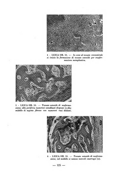 Archivio di medicina e chirurgia