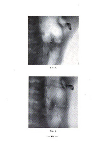 Archivio di medicina e chirurgia