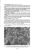 giornale/RML0027517/1937/unico/00000549