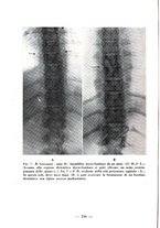 giornale/RML0027517/1938/unico/00000150