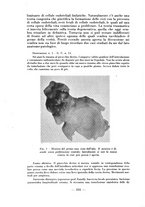 giornale/RML0027517/1939/unico/00000348