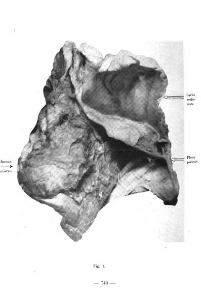 Archivio di medicina e chirurgia