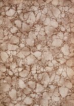 giornale/RML0028304/1908/unico/00000003