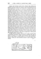 giornale/RML0028465/1907/unico/00000354