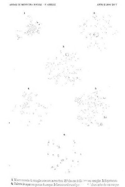 Annali di medicina navale