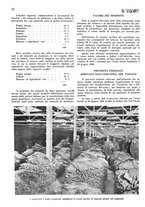 giornale/RML0028570/1934/unico/00000020