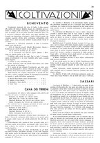 giornale/RML0028570/1934/unico/00000029