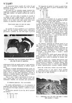 giornale/RML0028570/1934/unico/00000059