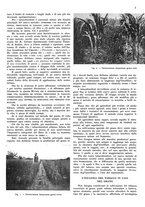 giornale/RML0028570/1936/unico/00000013