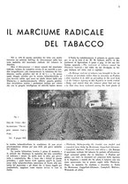 giornale/RML0028570/1936/unico/00000035