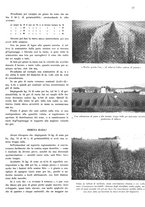 giornale/RML0028570/1936/unico/00000049